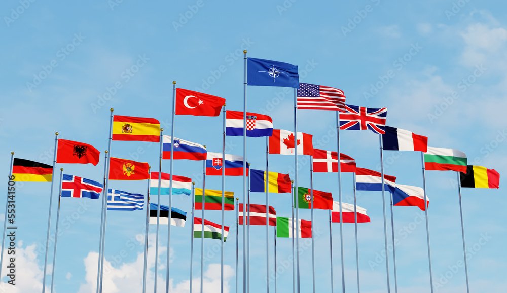 Key Factors to Consider Before Ordering Flags Online
